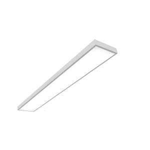 Армстронг Школа (1195*180)