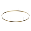 ORBITA