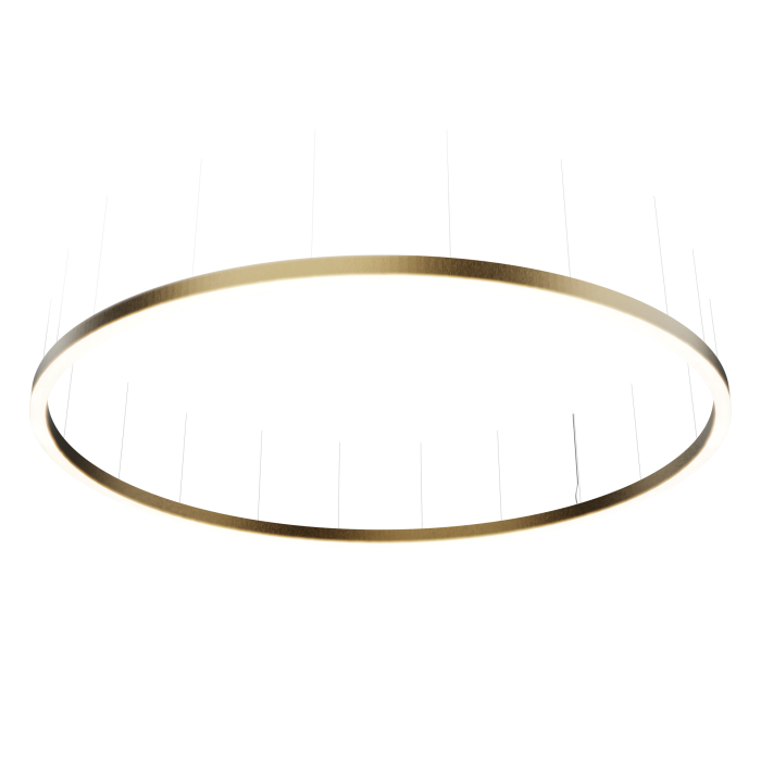 ORBITA