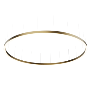 ORBITA