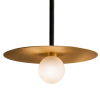 PLATEBALL