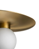 PLATEBALL