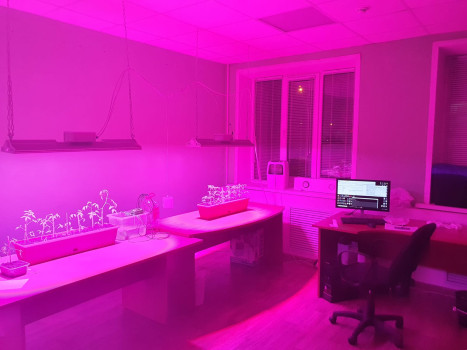 Новая серия светодиодных светильников – «IETC-Фито»