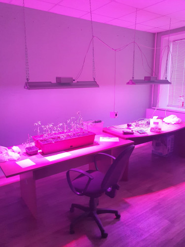 Новая серия светодиодных светильников – «IETC-Фито»