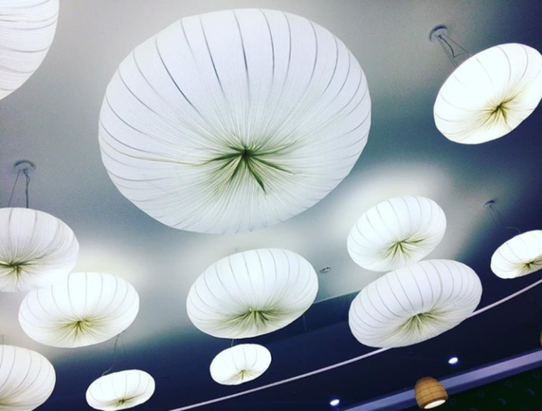 ТРЦ «Ривьера»