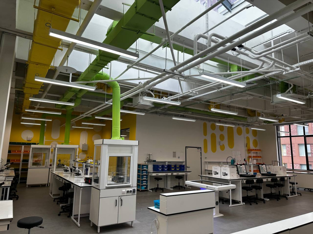 Освещение школы будущего №58 в Москве | LED-светильники для классов и спортзалов