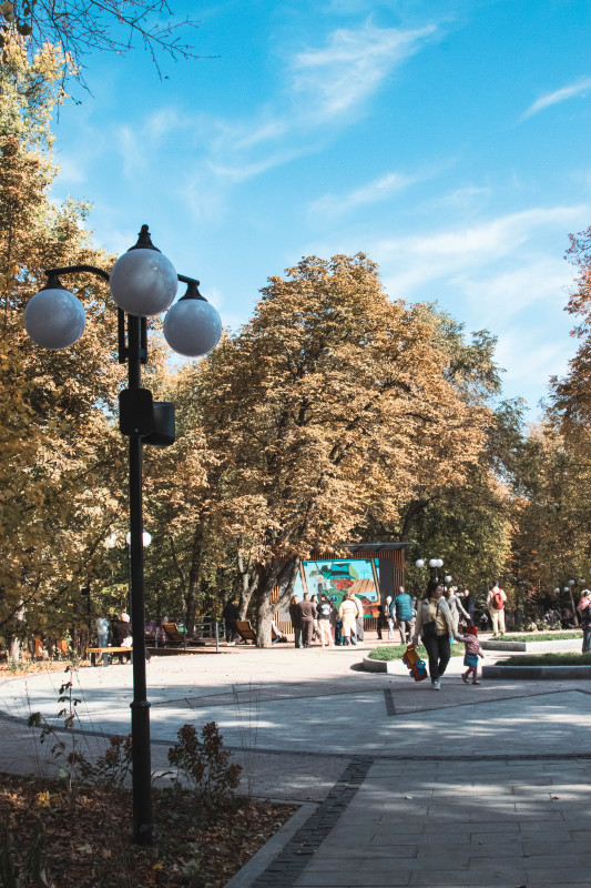 Освещение парка Пионеров, Курск