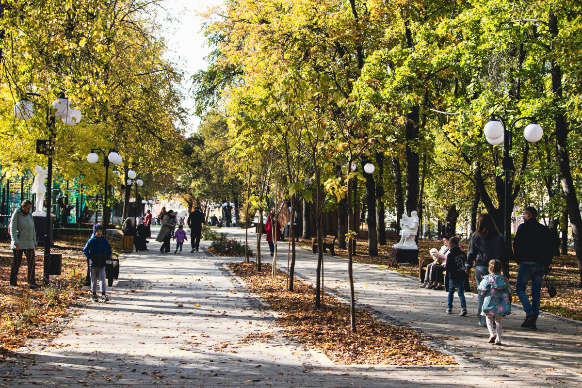 Освещение парка Пионеров, Курск