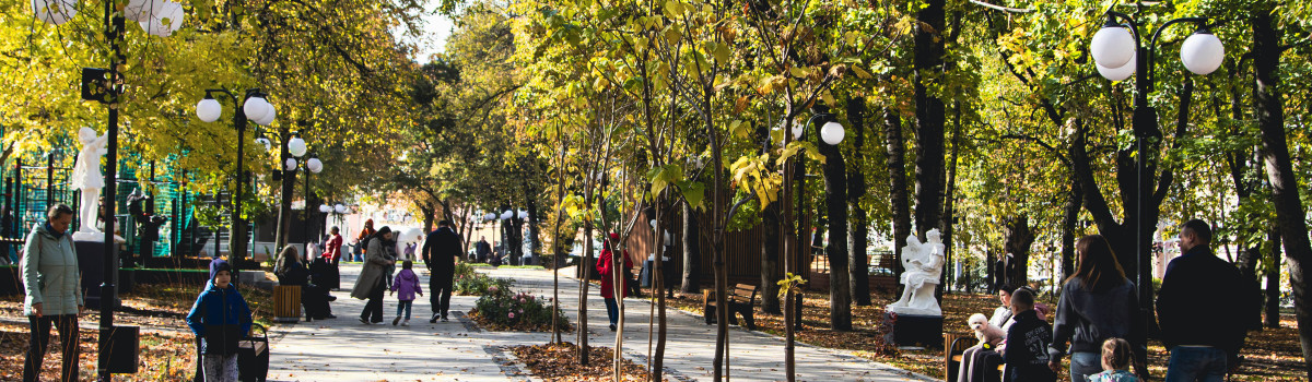 Освещение парка Пионеров, Курск