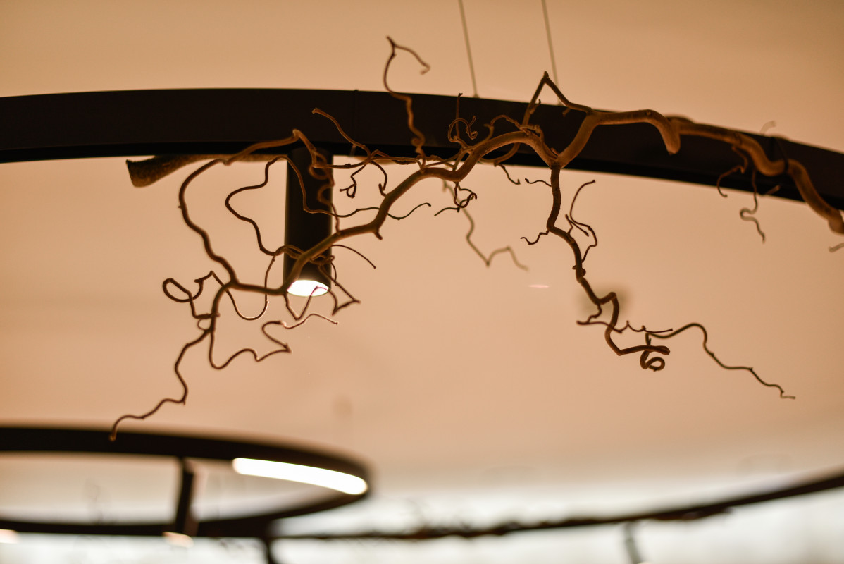 Премиальное освещение для Wellness Class в Быхановом саду