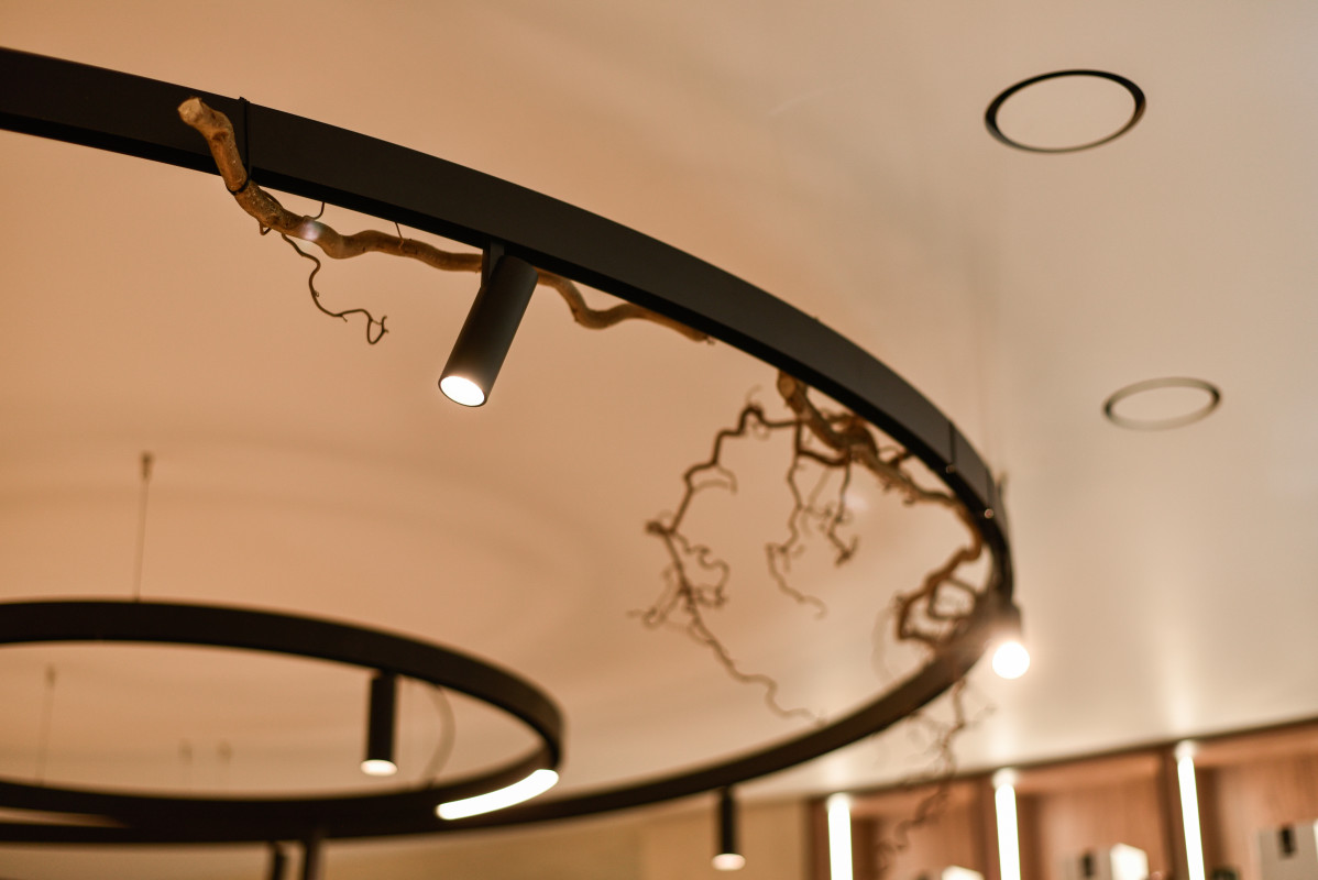 Премиальное освещение для Wellness Class в Быхановом саду